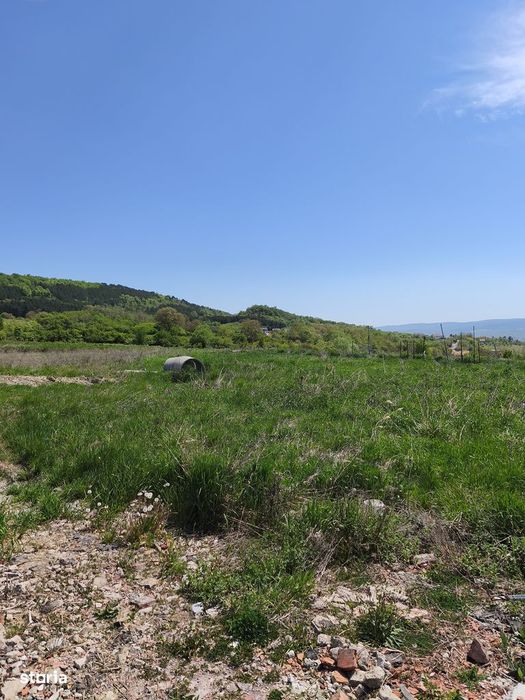 Teren intravilan pe strada Dealul Fanatelor