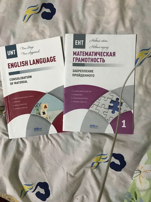 Книги по подготовке к ент