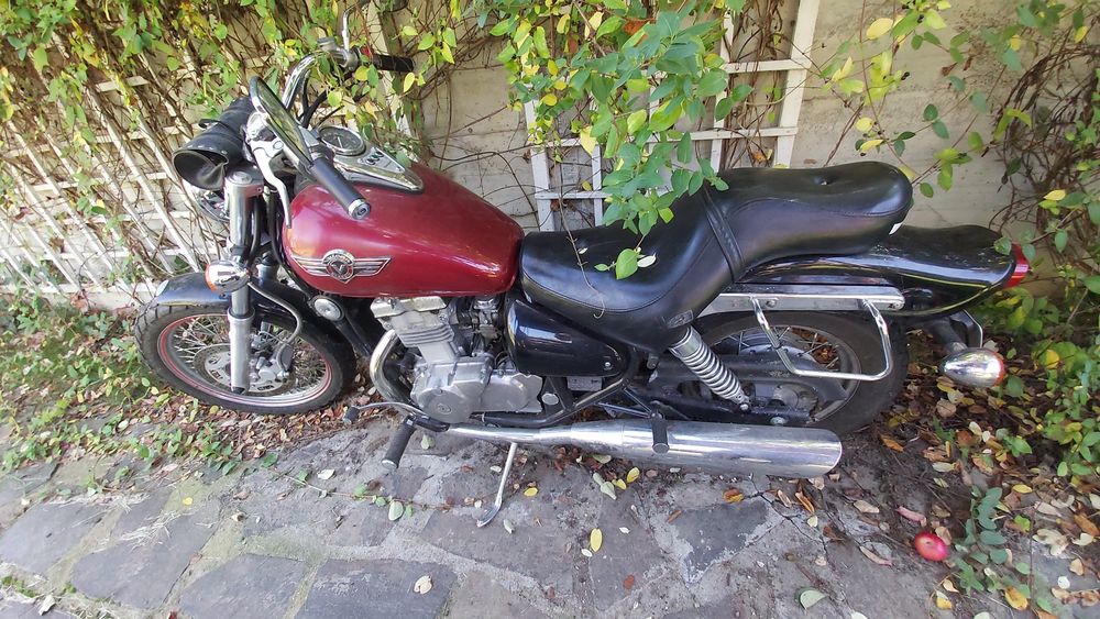 Kawasaki vulcan 500 en 1999