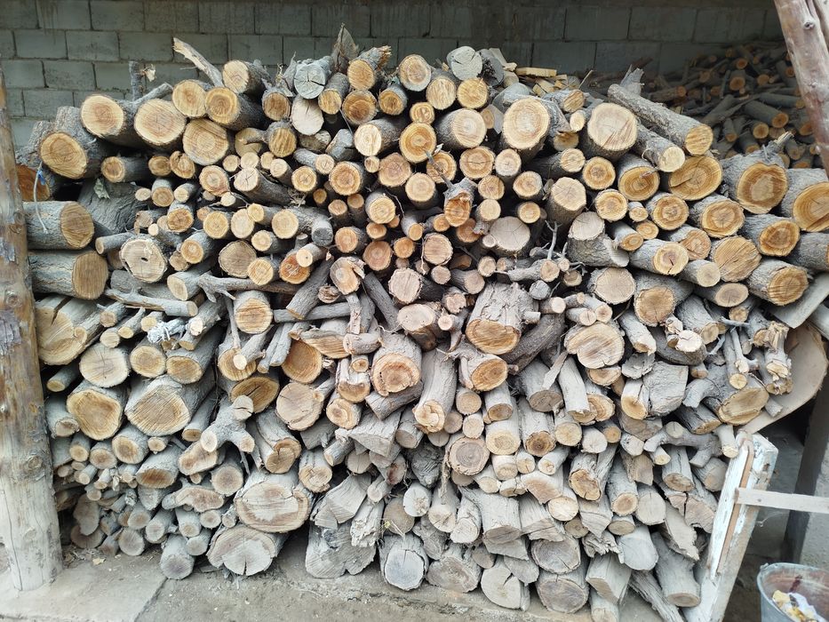 Oʻtin sotiladi oʻrik daraxti maydalangan tayyor