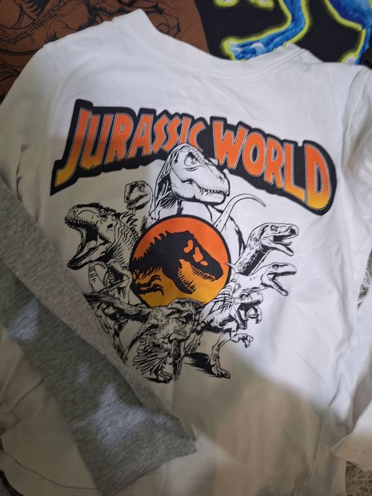 Блузи с дълъг ръкав 110/116 , долнища Zara , блузи Jurassic world