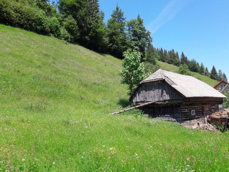Casa bătrânească și teren pretabil casa vacanta