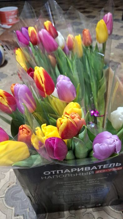 Тюльпаны на 8 марта