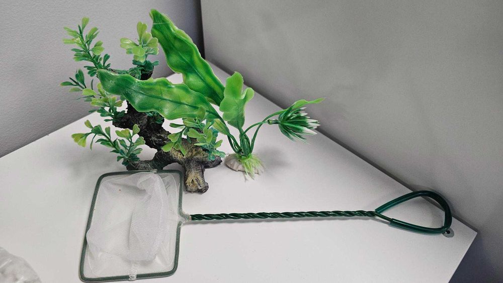 Лот аквариум — стъклена колба с аксесоари