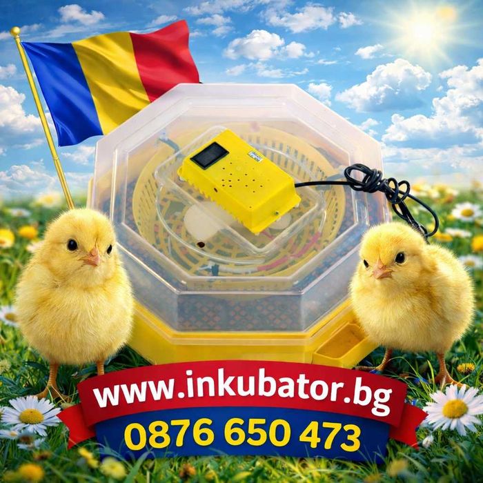 Румънски Инкубатори