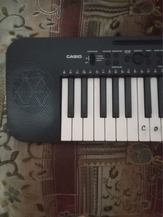 Синтезатор Casio