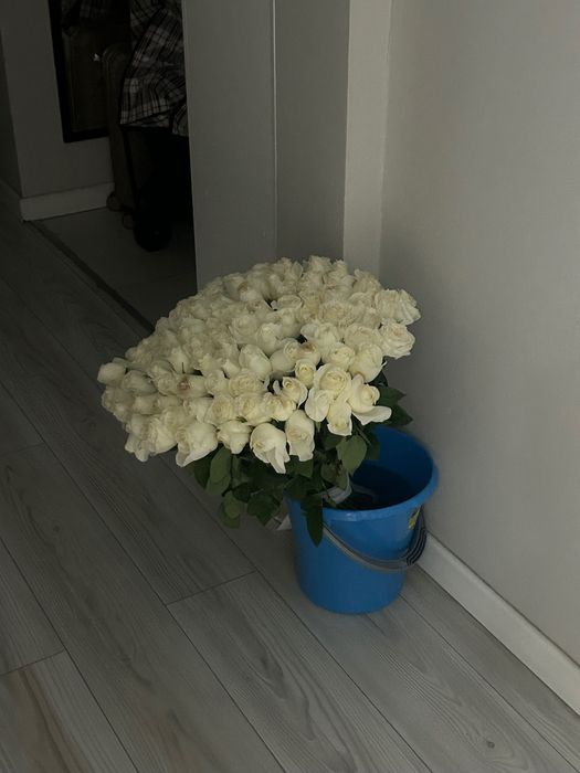 Цветы белые розы