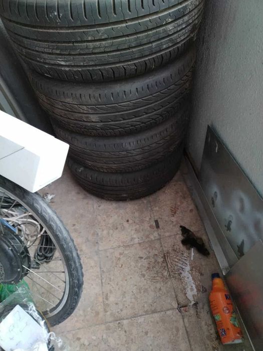 Гуми с джанти 225/55 R17 Continental – добро състояние