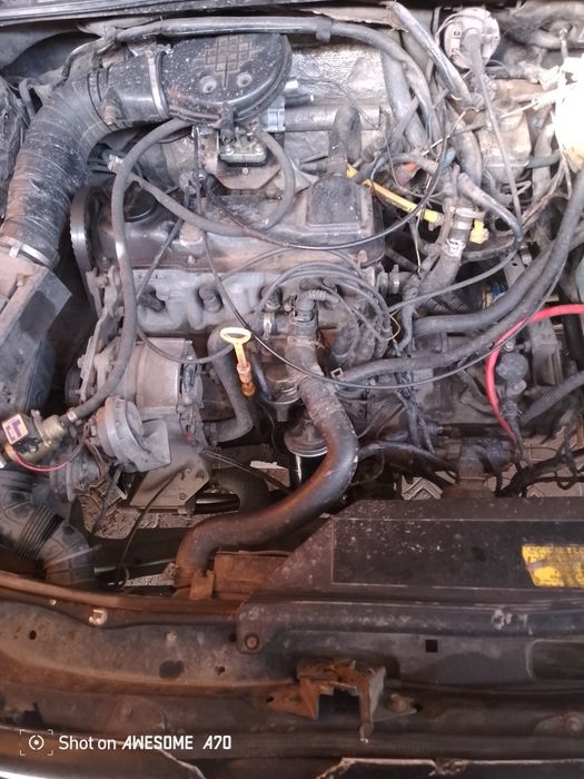 Обменяю машину на скот