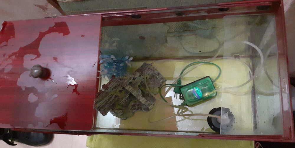 Продам аквариум 50л