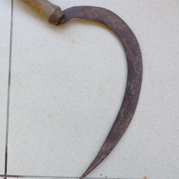 Старинни жетварски сърпове