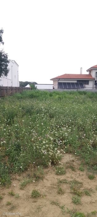 Tăiem iarba terenuri nu contează suprafata