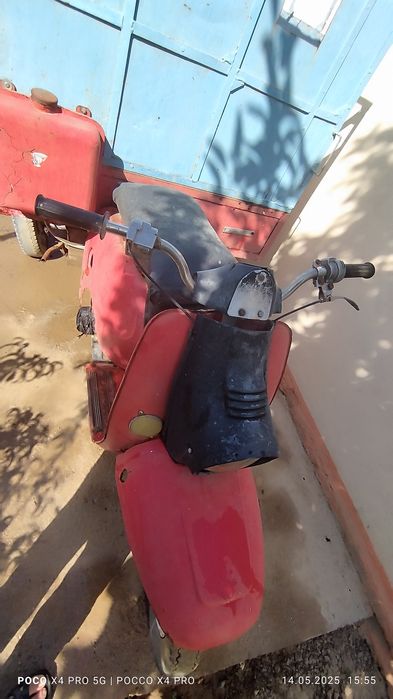 muravey sotiladi srochni