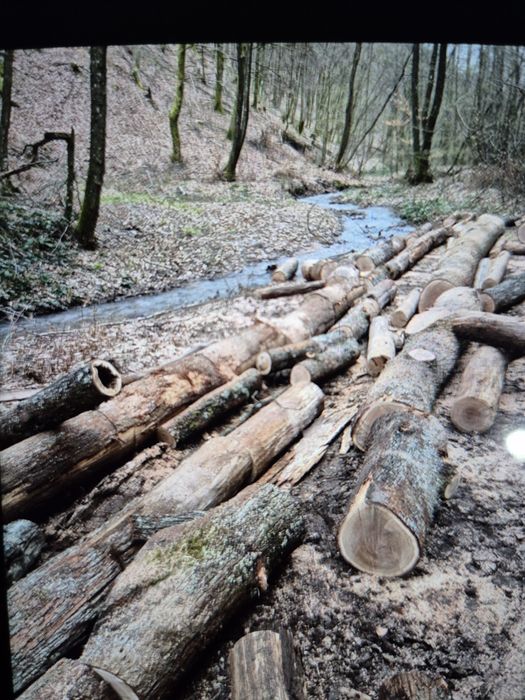 Lemne pentru foc crăpate sau rotunde