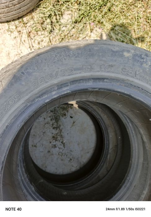 Донгелек сатамын