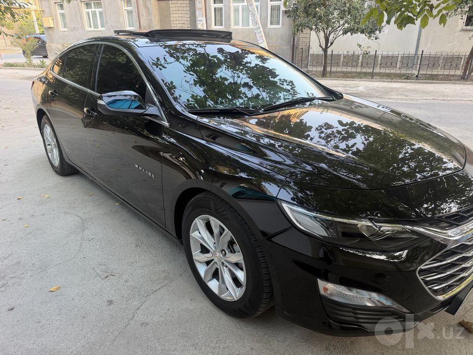 Malibu 2 Motor 15 TOZA 2019 год