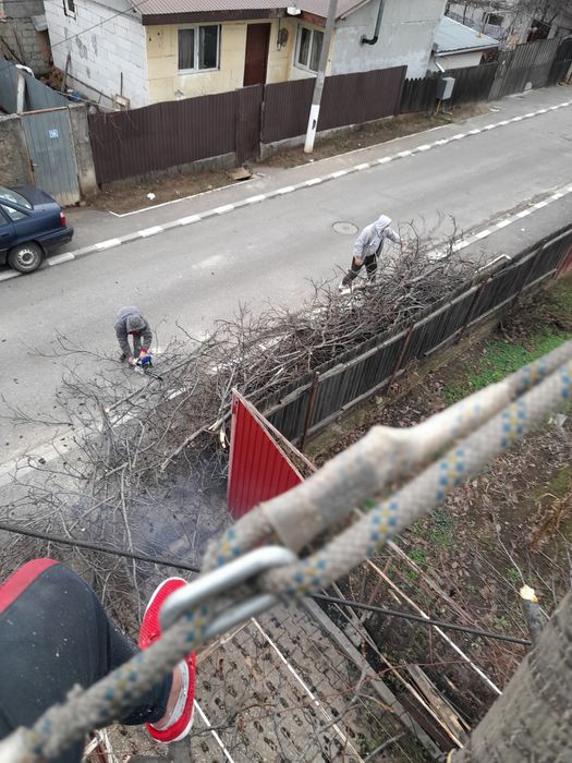 Taiere copaci toaletari întreținere grădini alpinisti utilitari