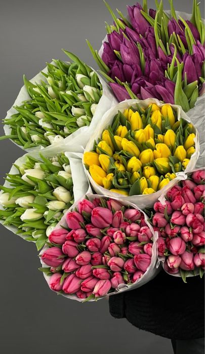Тюльпаны к 8 марта по самым низким ценам!