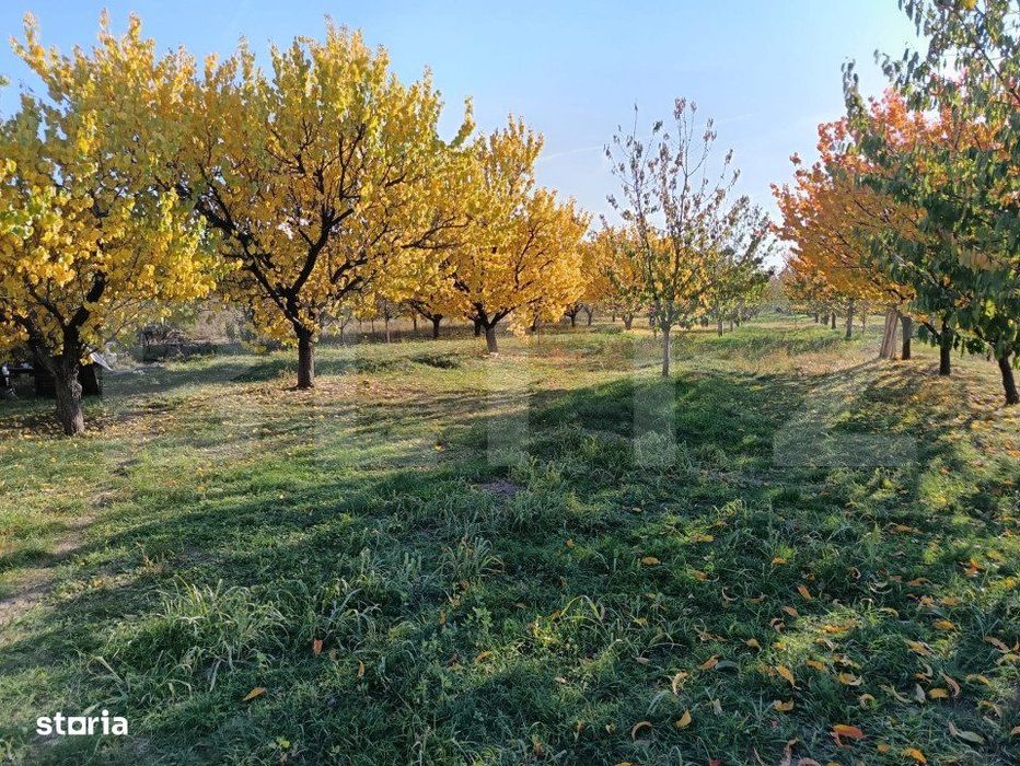 Teren Intravilan 6300 mp Magurele Prahova , Oportunitate !