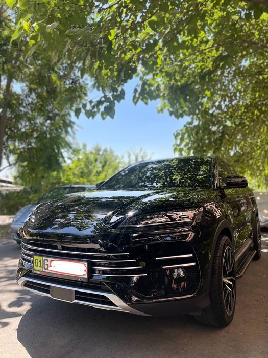 BYD CHEMPION гибрид  150  талик