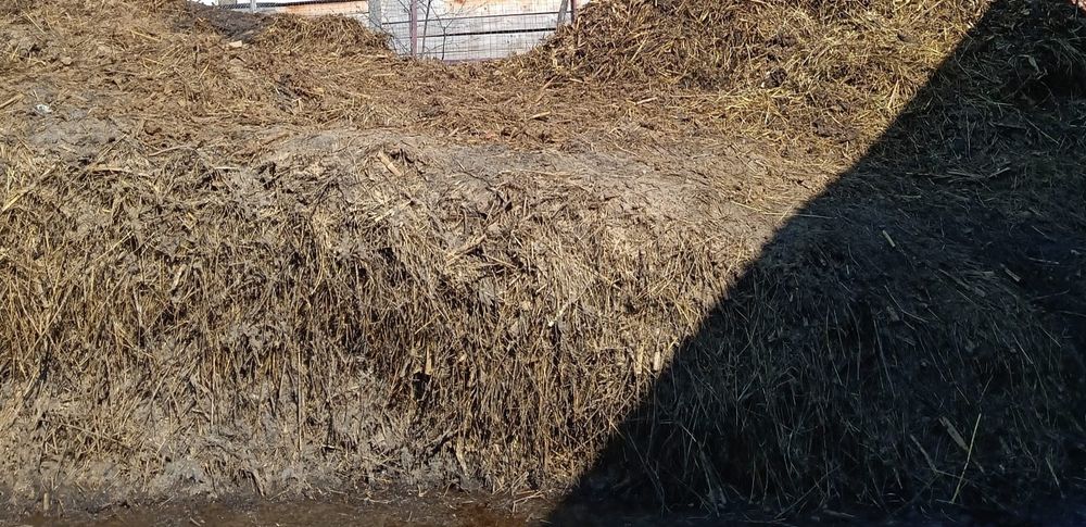 Gunoi de vacă de vânzare