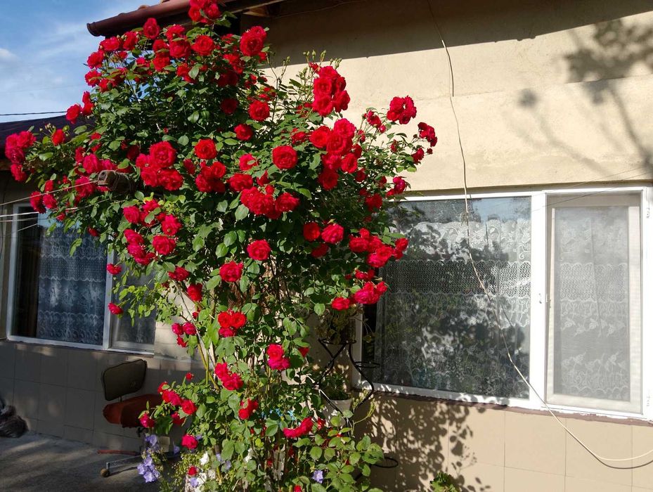 Продава се Къща в Нови пазар - 190 кв.м за 553 €/кв.м - Снимка #14