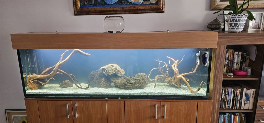 Корени от Азалия за Аквариум