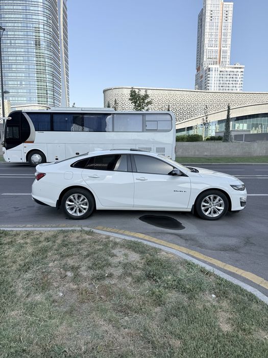 Malibu XL oq Tozza