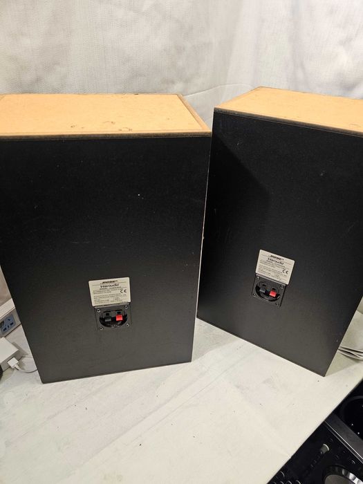 Boxe Bose Interaudio 3000xl