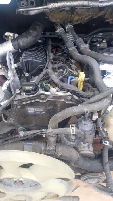 Motor Ford transit,2l de. 2016,2017,2018,2020,2021,2022,2023,2024