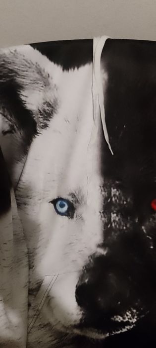 Толстовки молодежные.