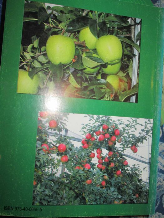 2004 carte Cultura marului