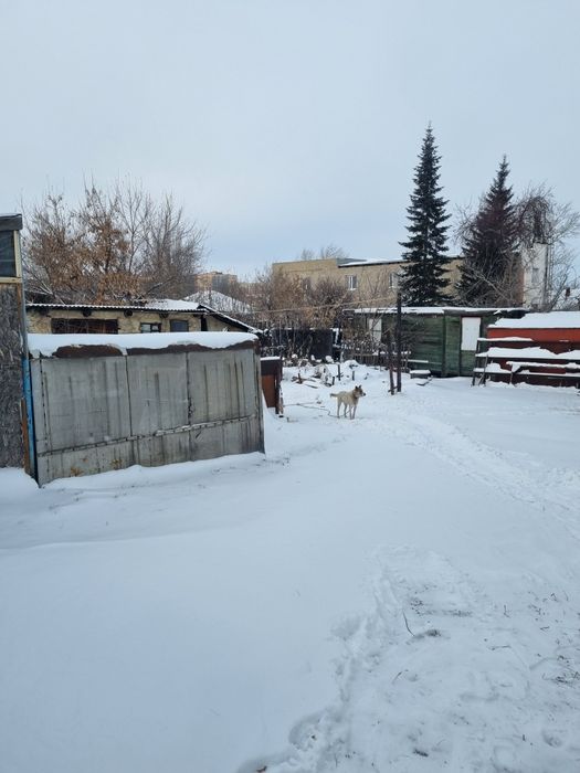 Продам Дом на два хозяина.