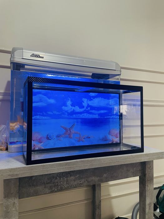 Аквариум для рыбок Актау