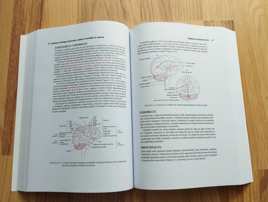 Anatomie Barron's 2022