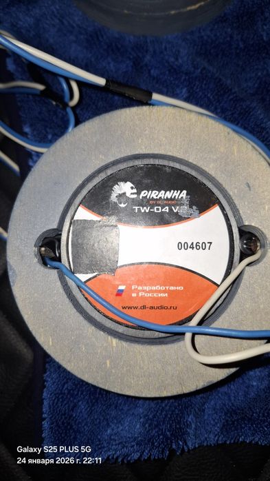 Inteltouch эстрадка DL audio pirania ruport pishalka sotiladi ideal