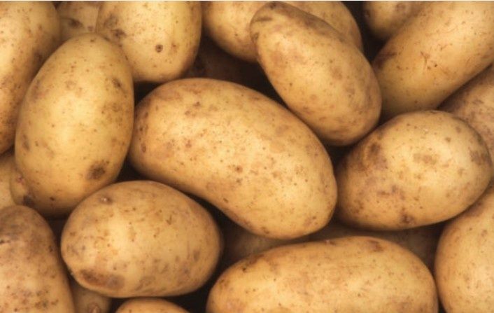 Продам картофель Горняк