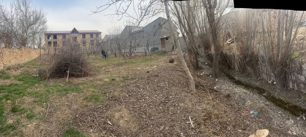 Oltin tepa toshmi posti