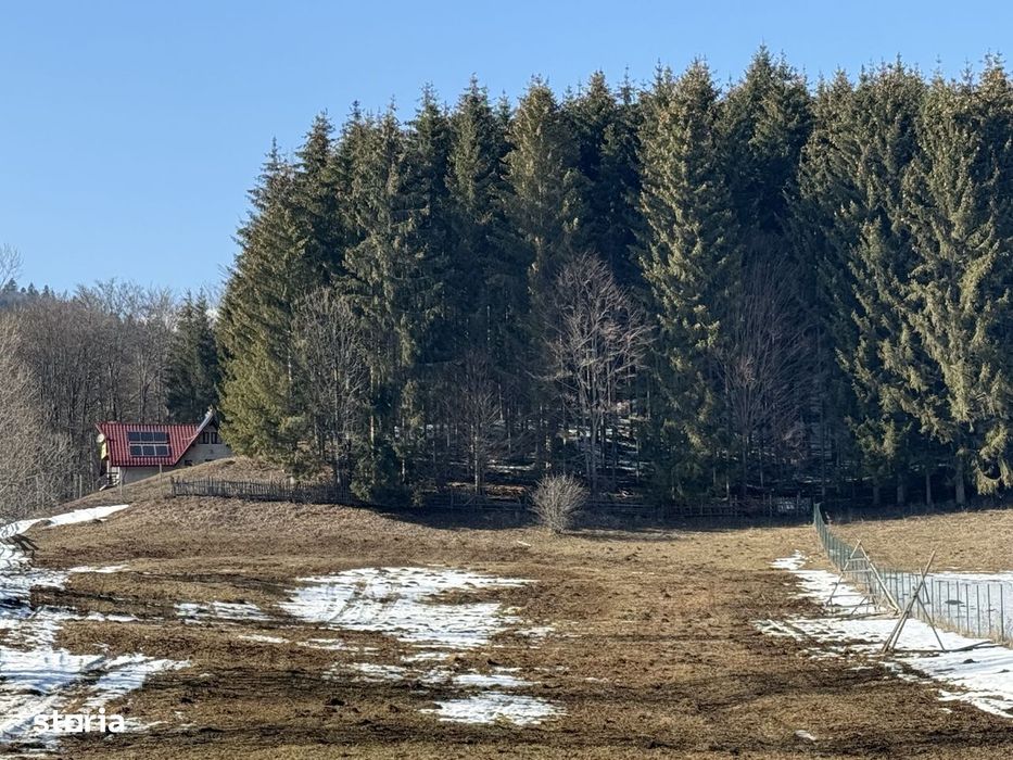 Teren intravilan 4521mp lângă pădure-valea Doftanei -Calea Brasovului