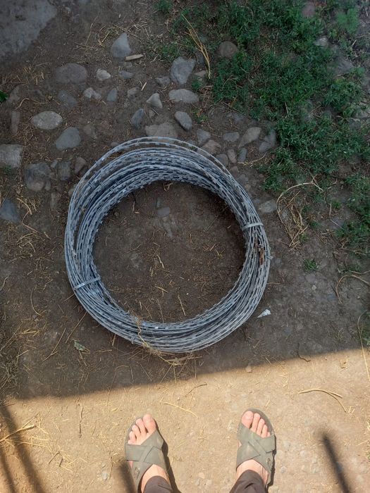 Колючая проводка Егоза