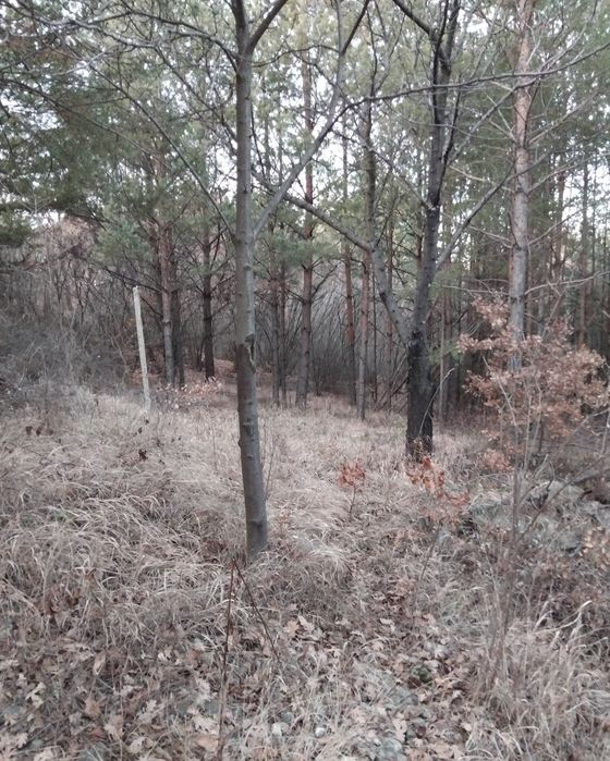 Продава се Парцел в Дупница - 960 кв.м за 15 €/кв.м - Снимка #2