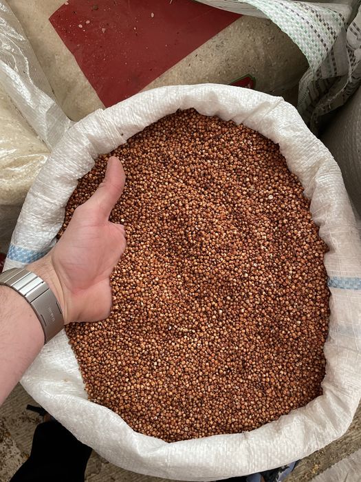 Amestec porumbei mix porumbei mancare porumbi,porumb,grau,rapita,mei