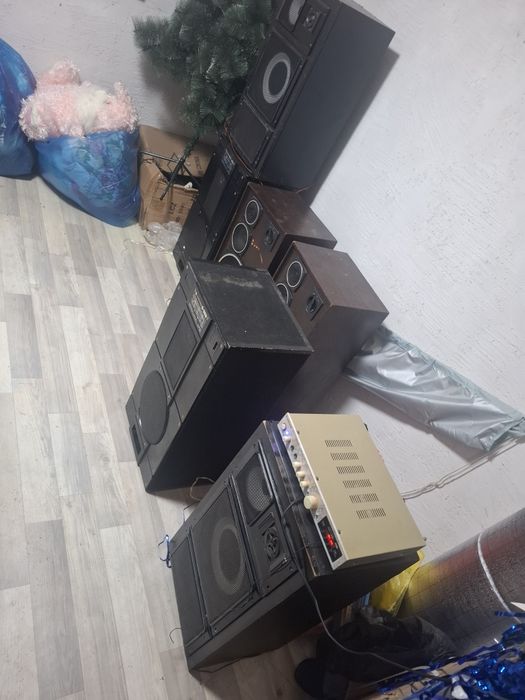 Калонки  домашние