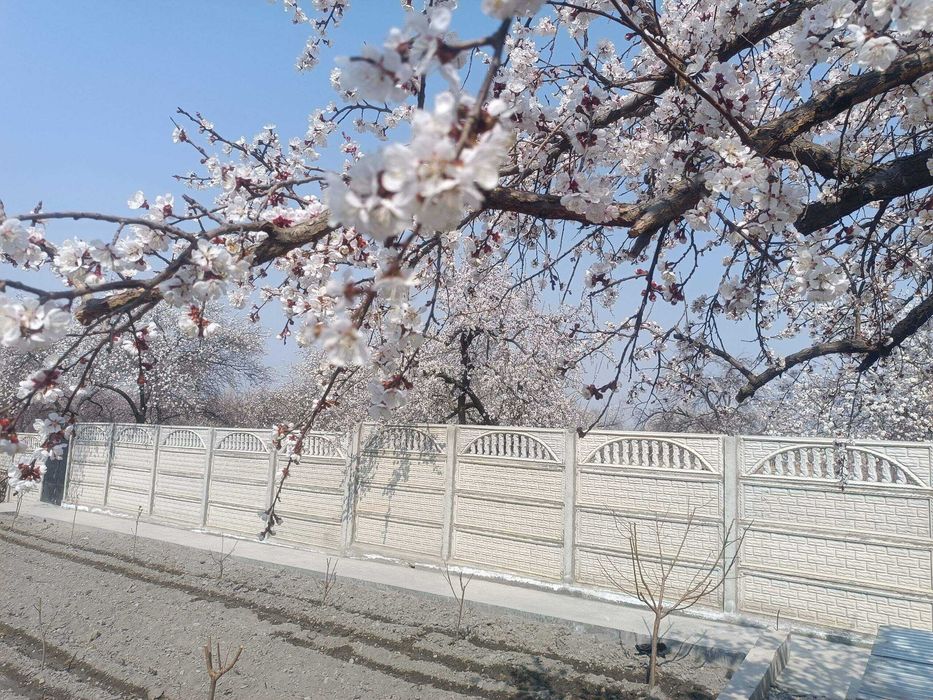 Девор .Еврозабор