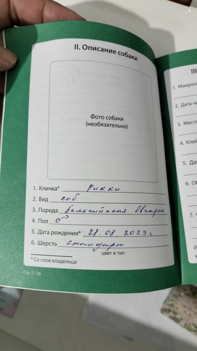 Вязка бельгийская овчарка малинуа