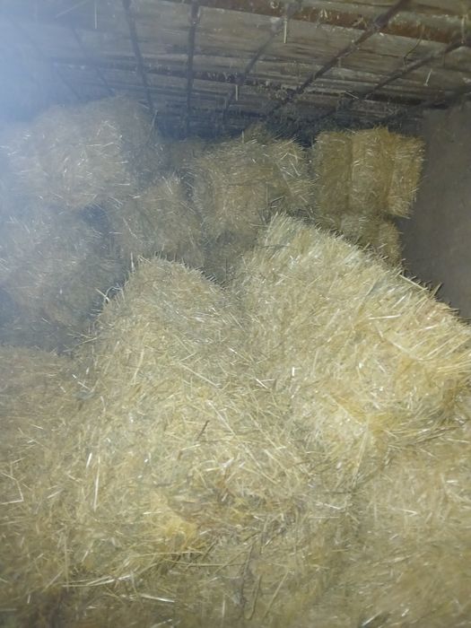 Бидай сабан прес