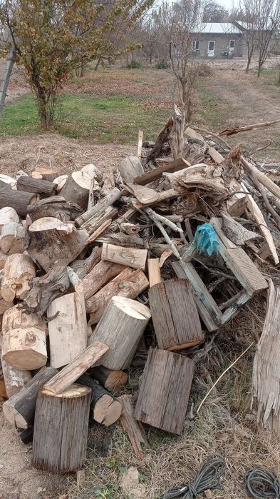 O'tin sotiladi   . kesilgan tayor