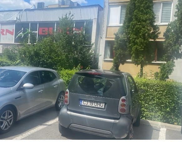 Smart For Twoo - Ideal pentru oras / Livrari