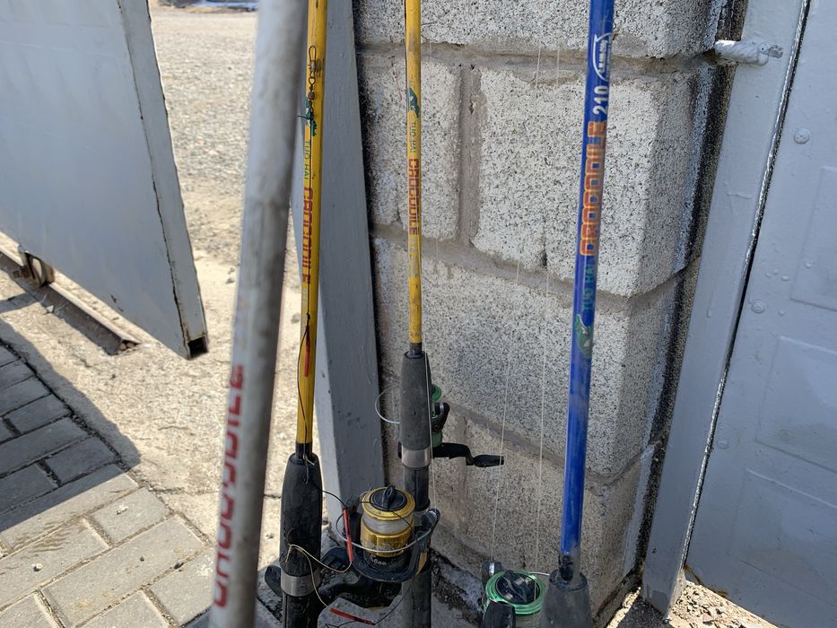 Продаю урочка 5 штук