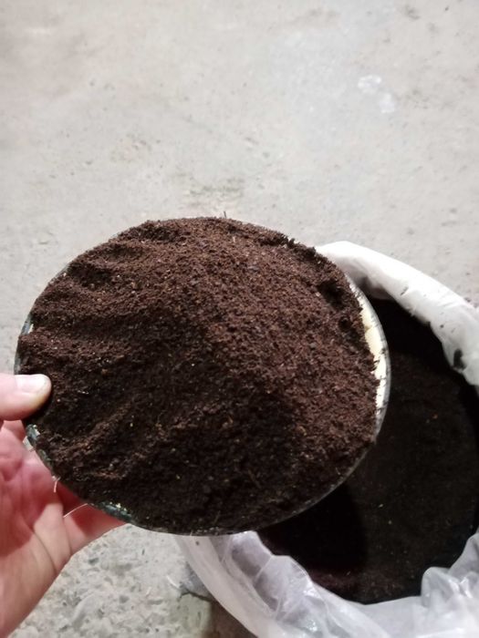 Biogomes Natural O‘g‘it